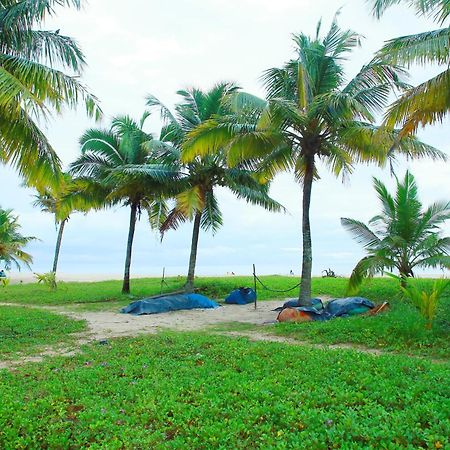 Marari Nest Beach Homestay Mararikulam Extérieur photo