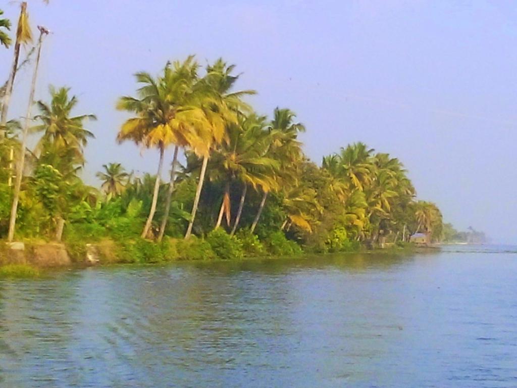 Marari Nest Beach Homestay Mararikulam Extérieur photo