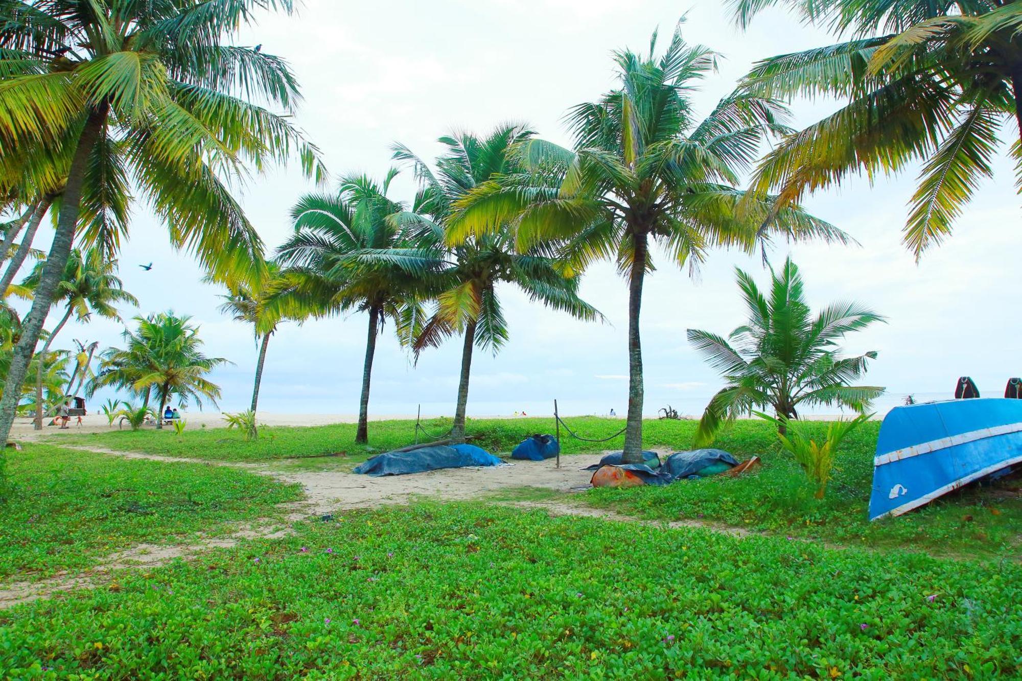 Marari Nest Beach Homestay Mararikulam Extérieur photo